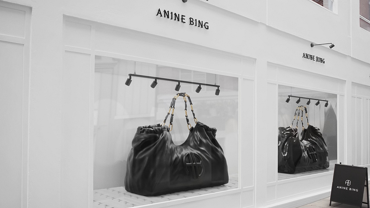 Anine Bing Bags