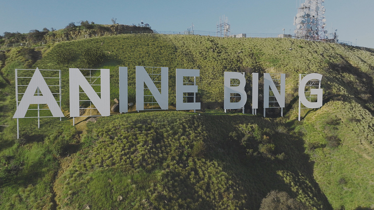 Anine Bing sign